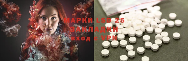PSILOCYBIN Балахна