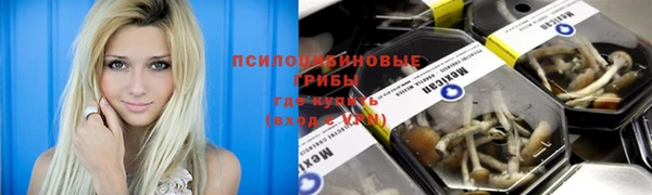 Альфа ПВП Балабаново