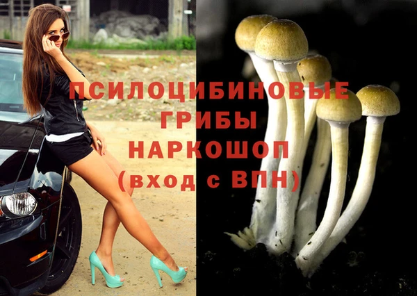 гидра Беломорск
