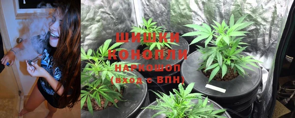 гидра Беломорск