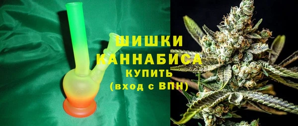 PSILOCYBIN Балахна