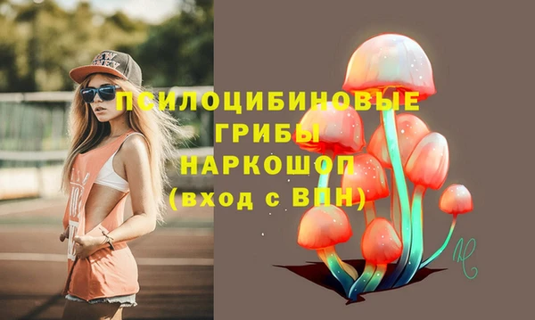 Альфа ПВП Балабаново