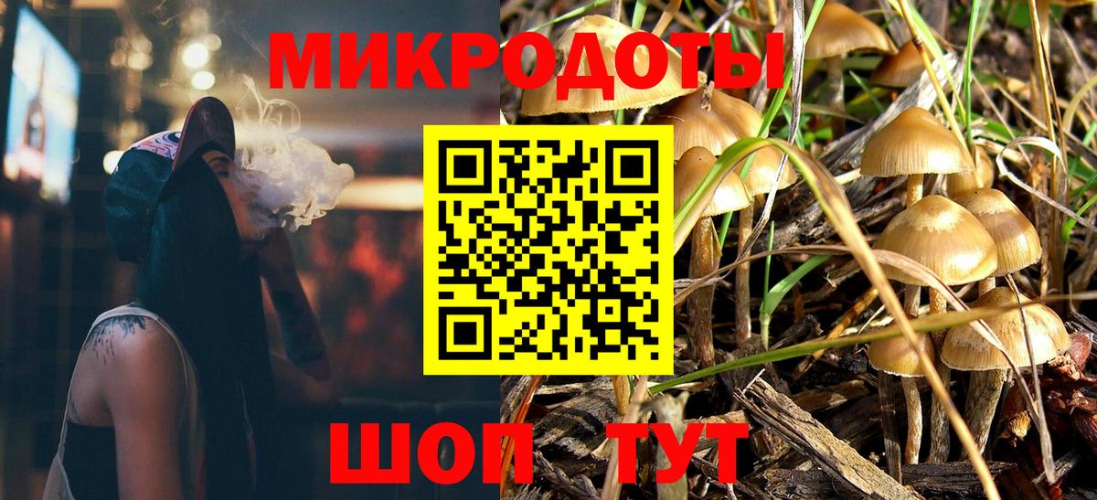 Псилоцибиновые грибы мицелий  Псилоцибиновые грибы Psilocybe  Пятигорск  Вход с VPN 