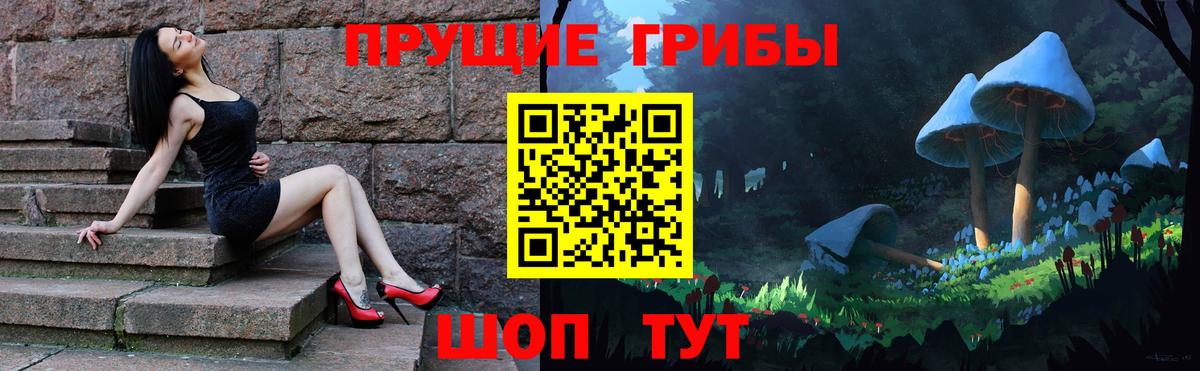 Псилоцибиновые грибы Psilocybine cubensis Пятигорск