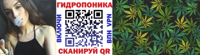 магазин продажи   MEGA tor  Бошки марихуана сатива  Пятигорск 